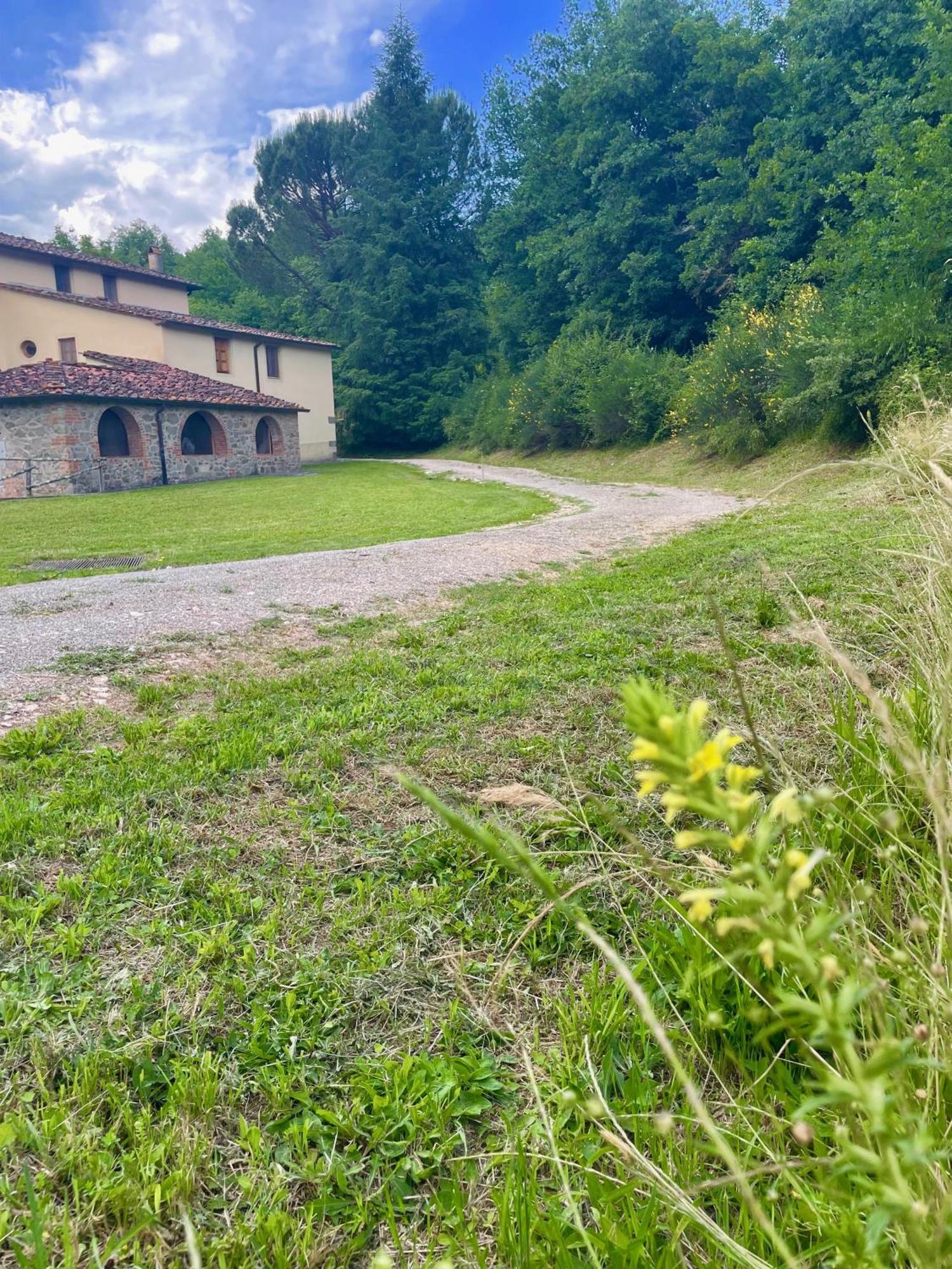 Gioconda casa vacanze Villa Montevarchi Exterior photo